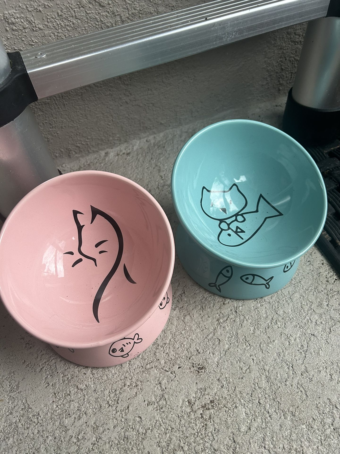 Pink And Blue Cat Bowls
