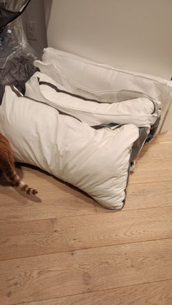 3 Sleep number Plush Comfort Pillows 