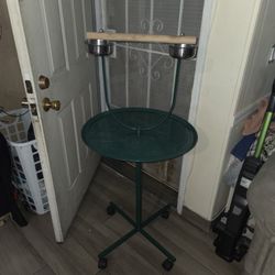 Metal Bird Stand w/ FREE small white cage