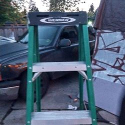 Werner 6foot Ladder