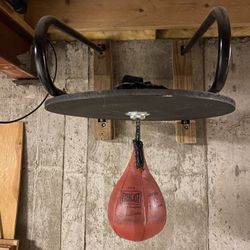Everlast Speed And Heavy Bag 