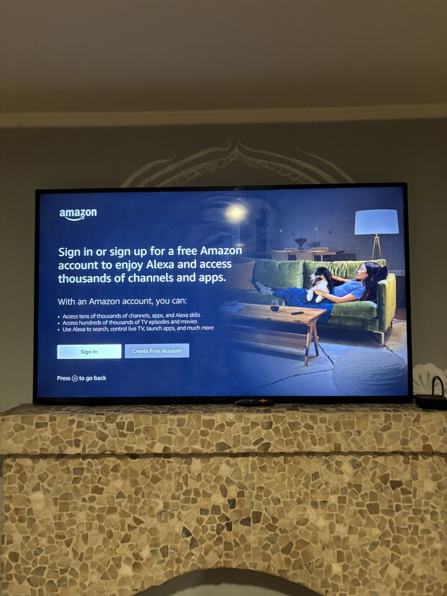 Insignia 60 Inch TV