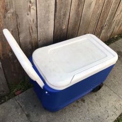 Ice Cooler $20 South La 90043 