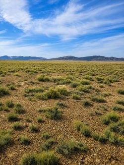 10 Acres Near Montello, NV — Quiet Off-Grid Land