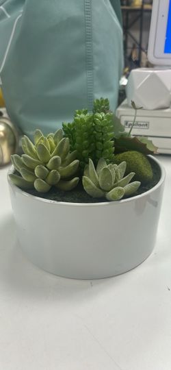 Faux Succulent Arrangement in White Ceramic Pot