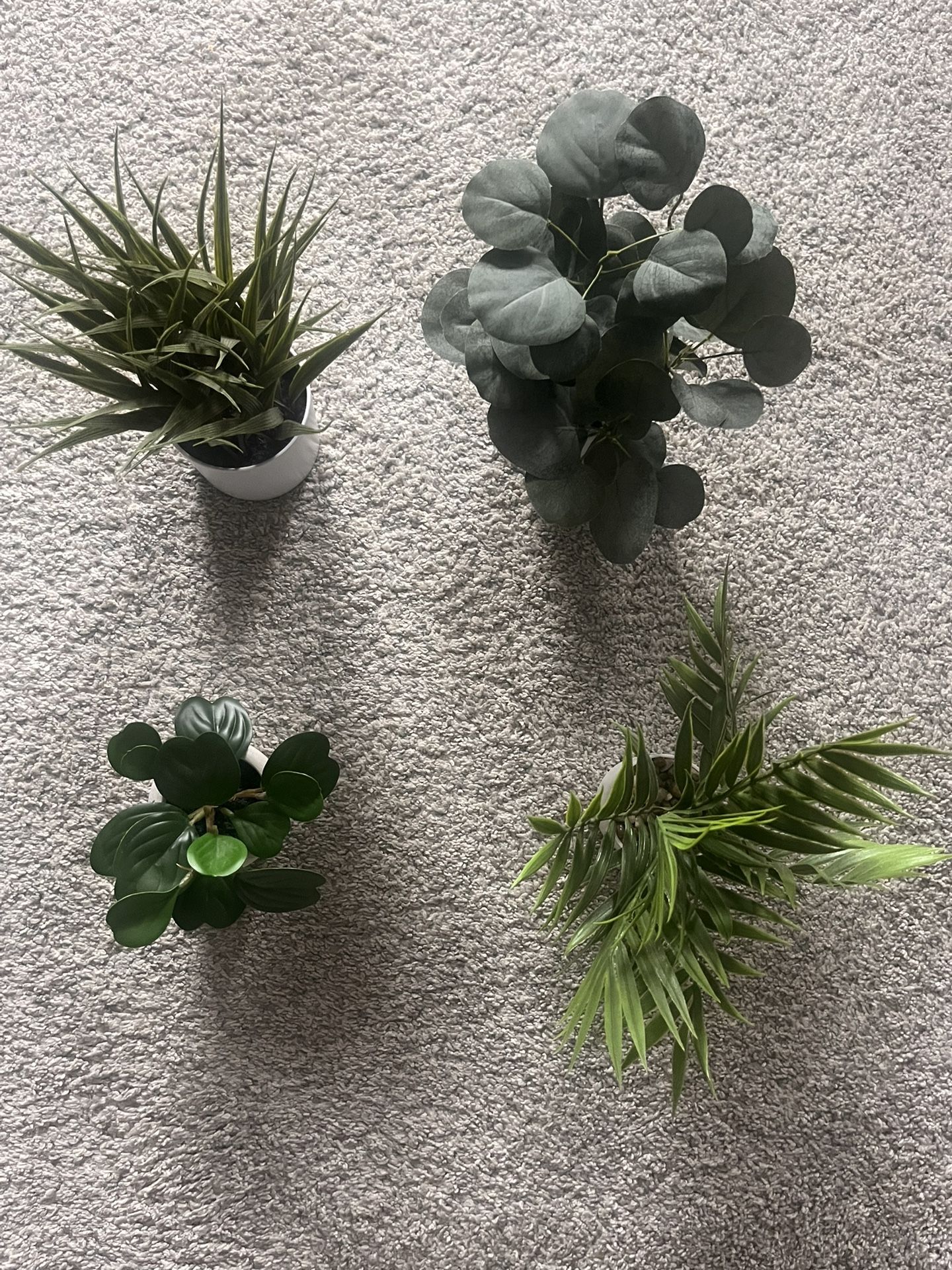 Assortment Of Fake Plants