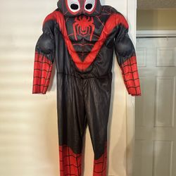 Miles Morales Costume