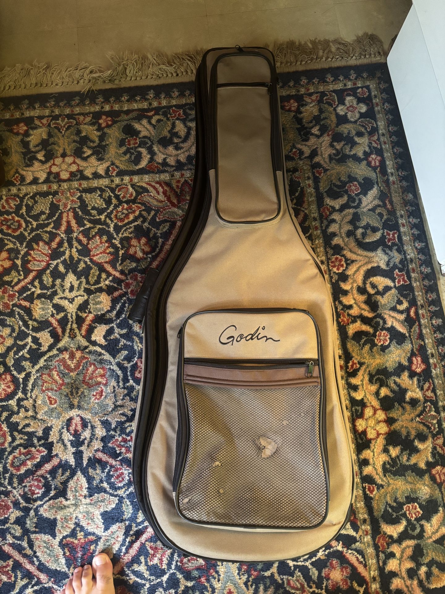 Godin Multiac Case 