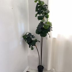 Faux Fiddle Leaf Fig Plant