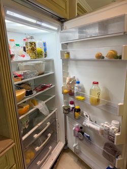 Fridge and freeze