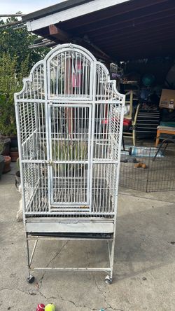 Birds cage