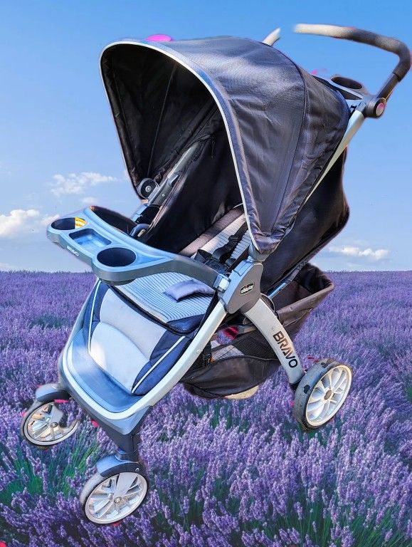 Chicco Bravo Stroller