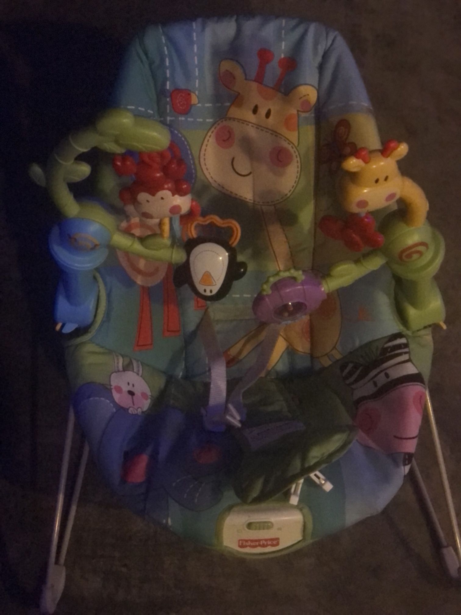 Baby Bouncer