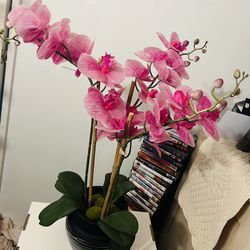 Orchid Plant Fake 