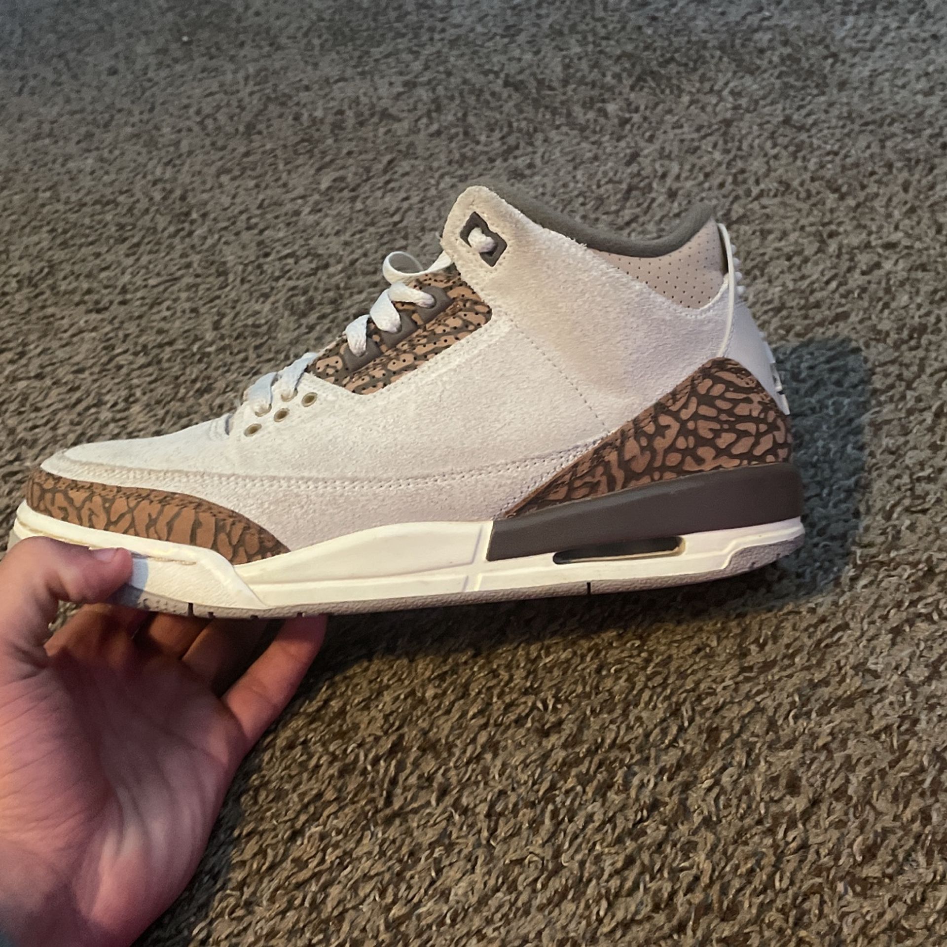 Jordan 3