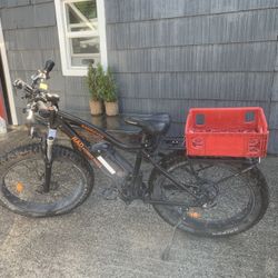 Electric Bike