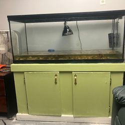 50 Gallon Tank 