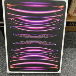   Apple iPad Pro 12.9-inch (6th generation)  256 GB