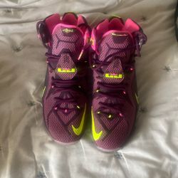 Nike Lebron Size 11