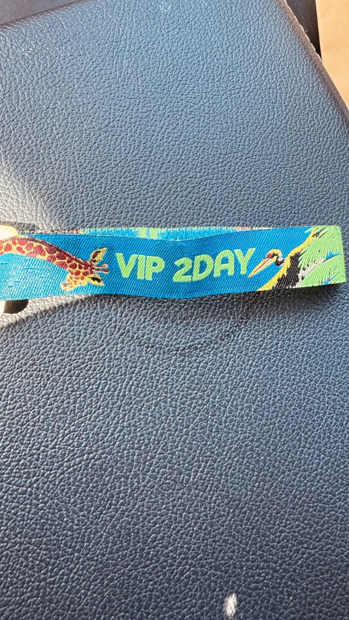 DayTrip VIP