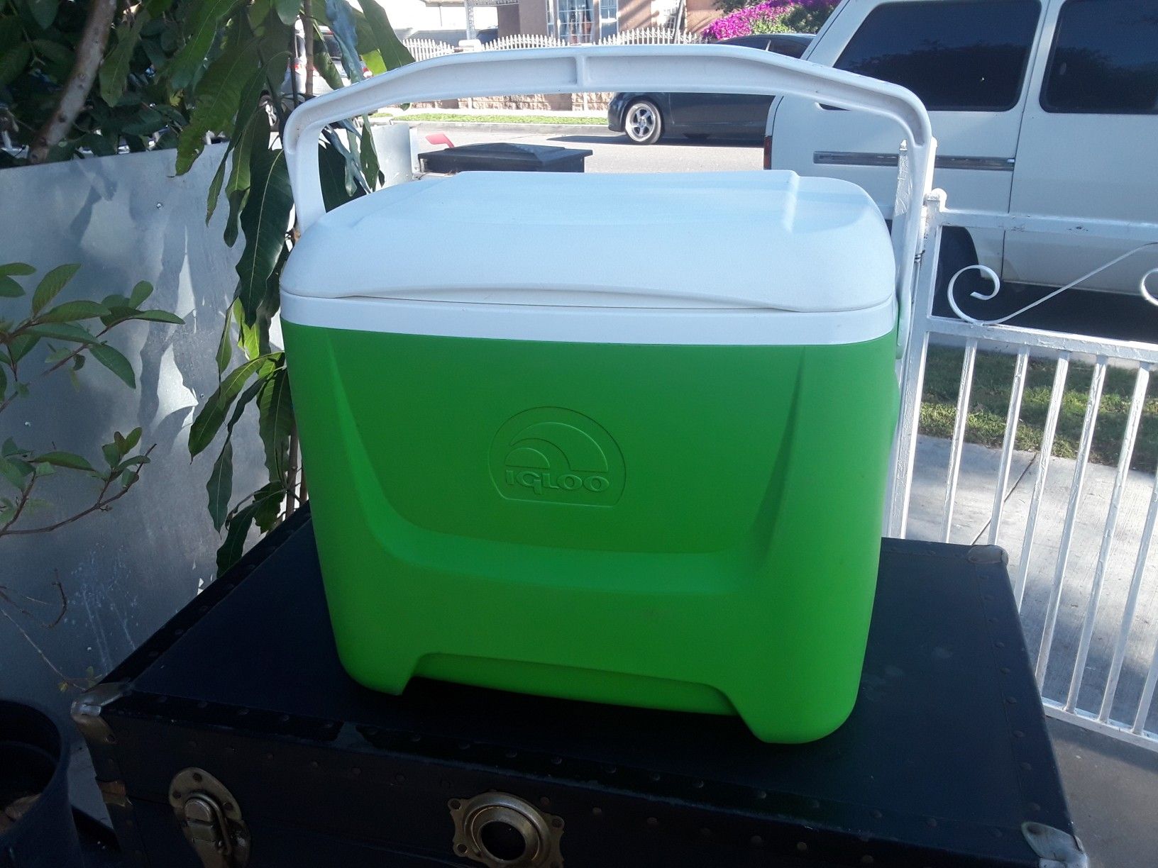 Igloo cooler excellent condition