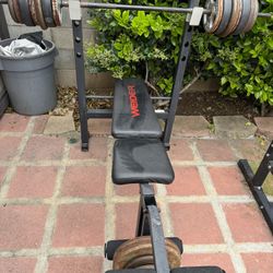 Weight Bench