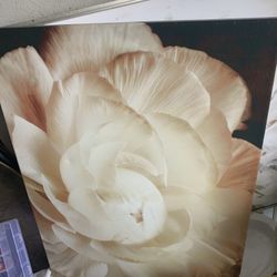 Canvas Wall Decor
