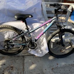Nishiki Bike R24”