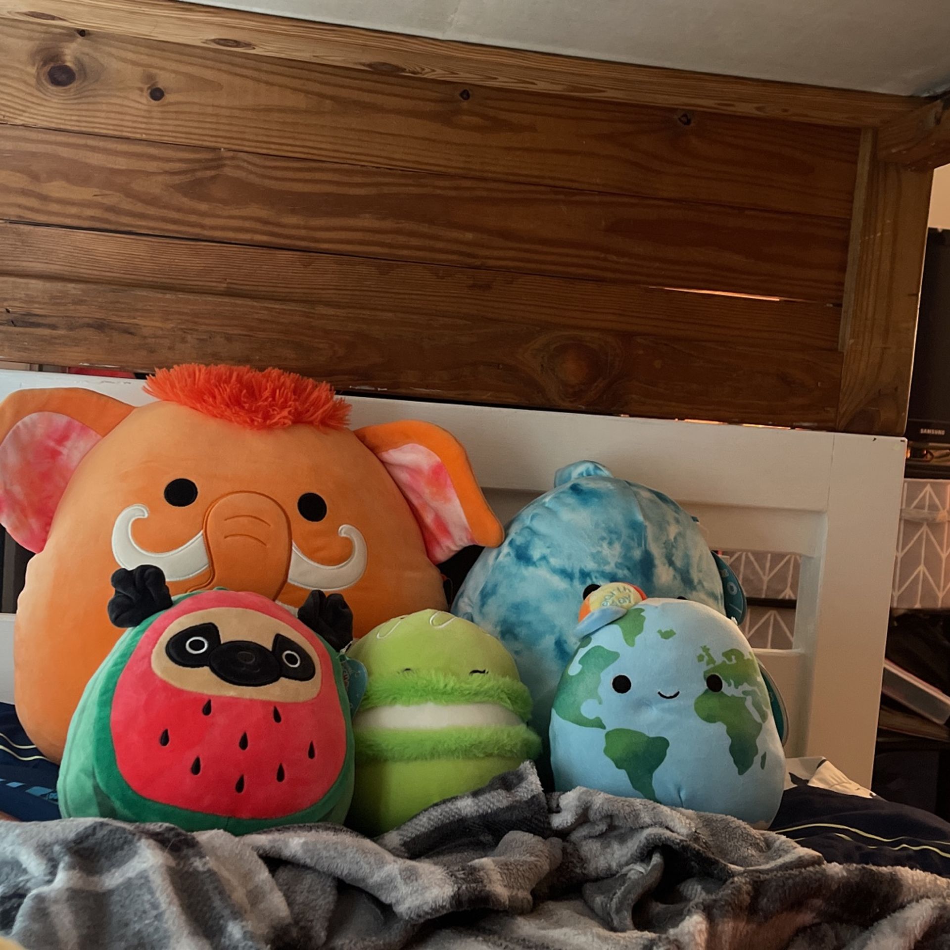 Squishmellow All Have Tags