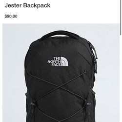 The northface Backpack 