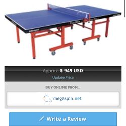 Ping Pong Table 