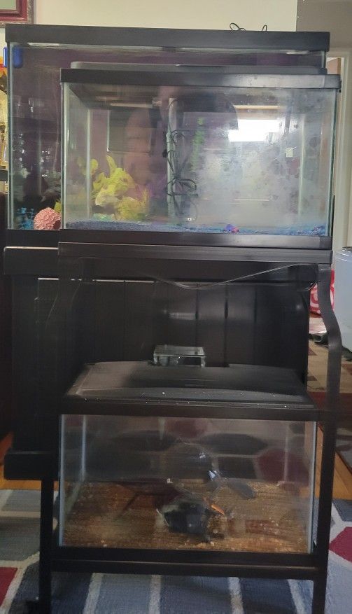 Aquariums