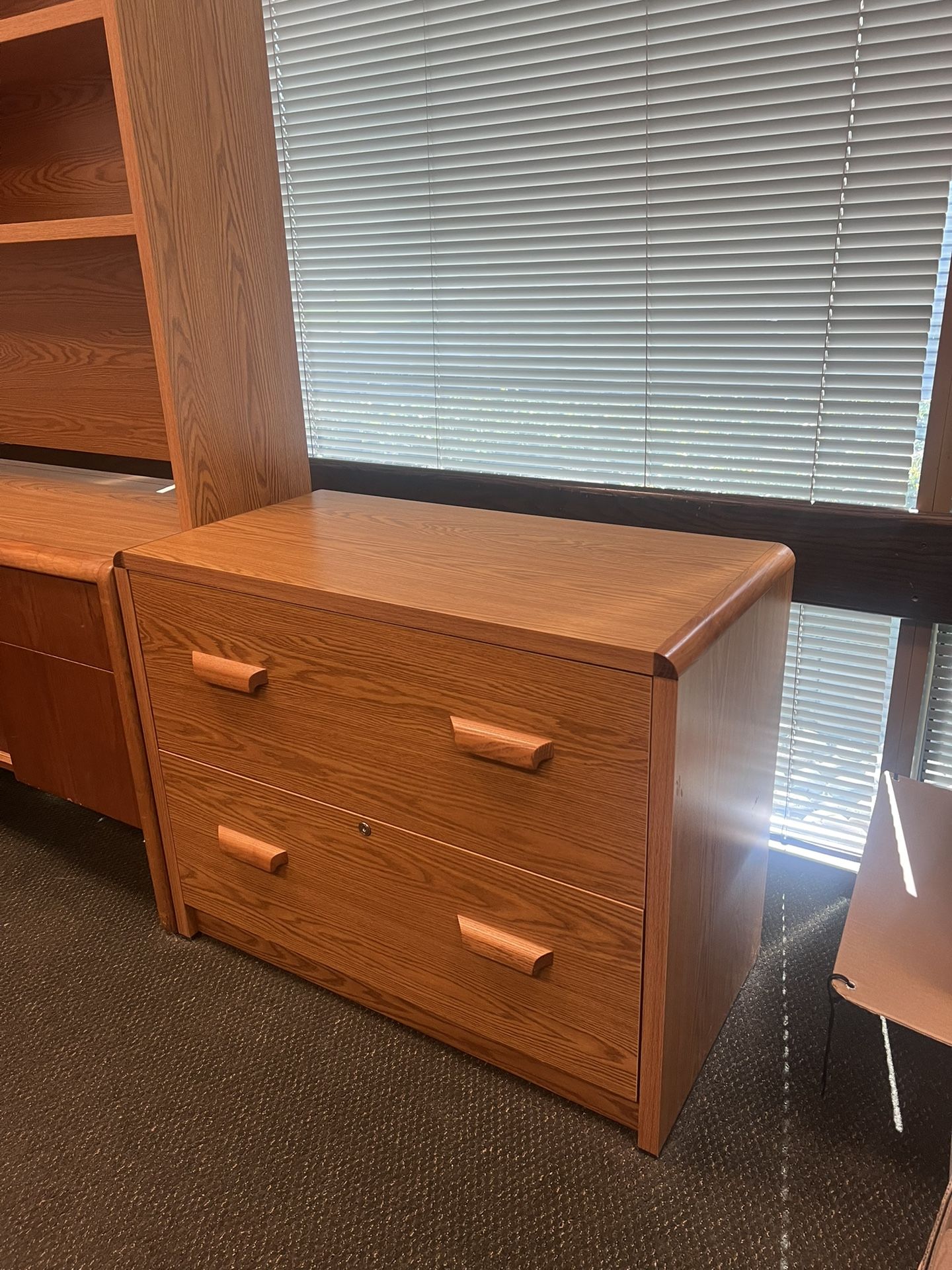 2-Drawer Commercial Grade Filing Cabinets! $199/EACH 