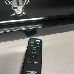 Alpine car stereo remote