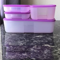 Set Of 4 Tupperware Freezermates