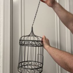 Beautiful 16” Indoor Or Garden Decorative Metal Wire Birdcage. Add Your Own Lock. For Bird, Plant, Ivy, Flowers, Candle, Clock, Etc. 
