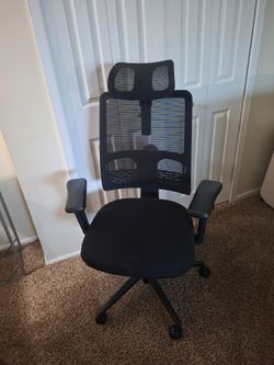 Gently Used High-Back Ergonomic Mesh Office Chair (Adjustable Lumbar & Headrest)