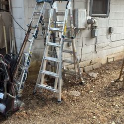 2 Werner Multi Max Pro Ladders