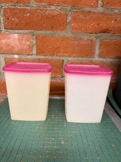 Tupperware Storage Containers Set of 2