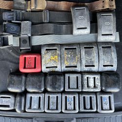 Dive Weights And Belts