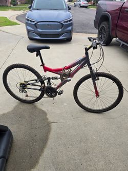 Adult Bike
