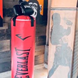 everlast boxing bag