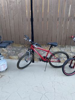 Roadmaster Mountain Bike 