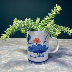 Burros Tail Succulent Planter