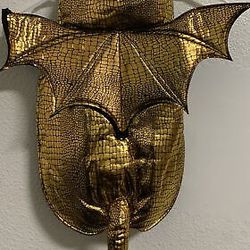 Gold Dragon Pet Costume, XL
