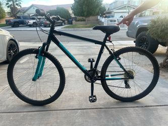 Nishiki Mountain Bike Black and Teal
