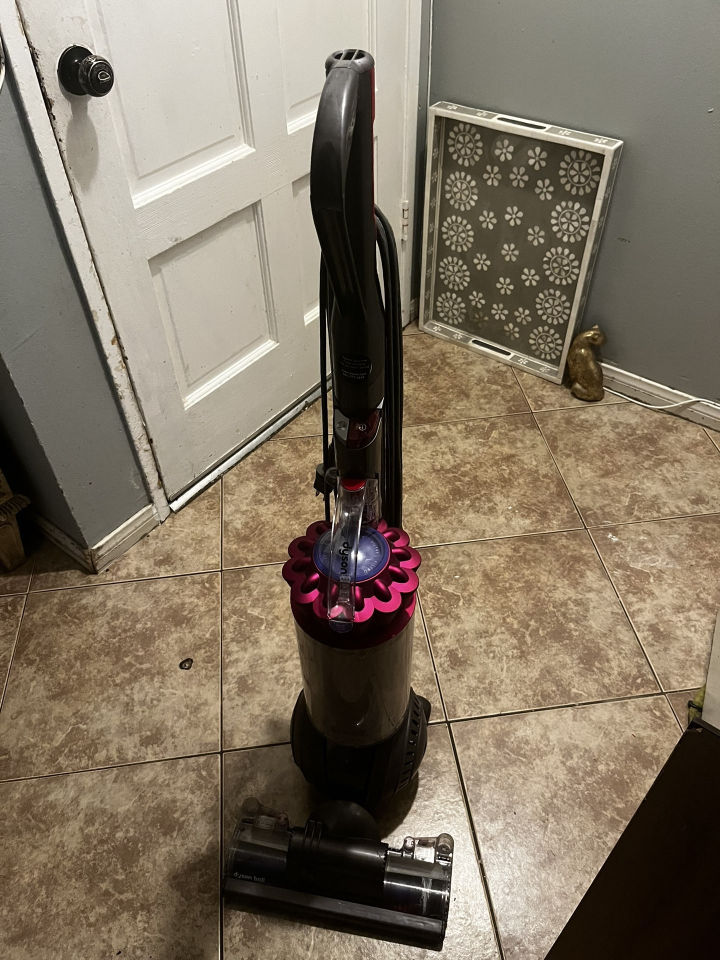 Dyson Ball Vaccine