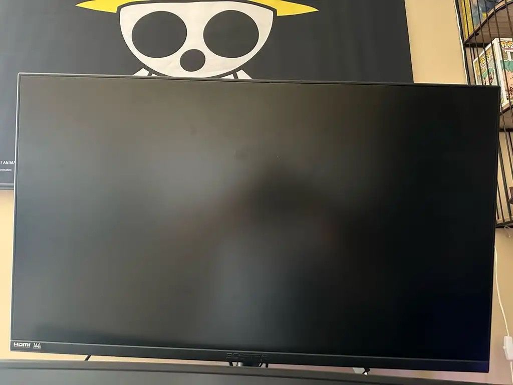 Sceptre Monitor