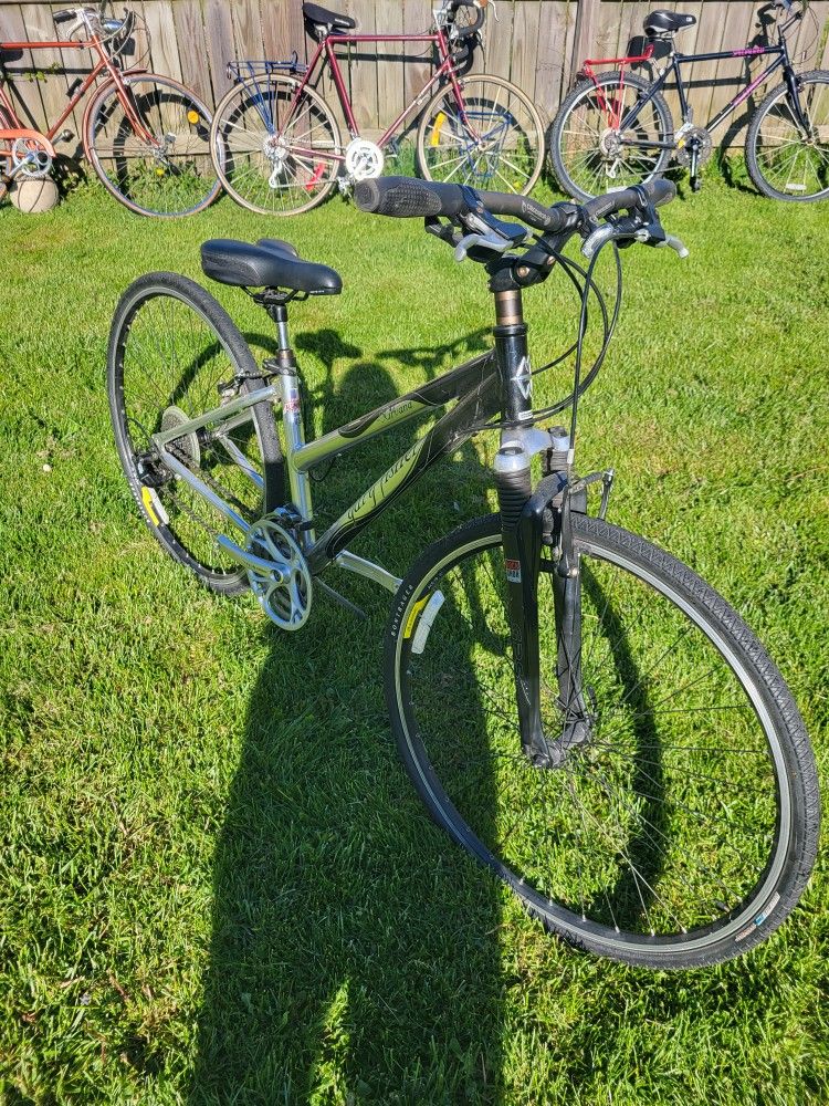 Gary Fisher Nirvana Bike