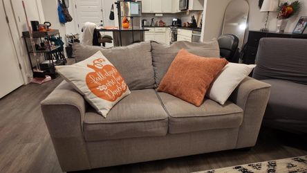 Gray Fabric Loveseat Sofa Set